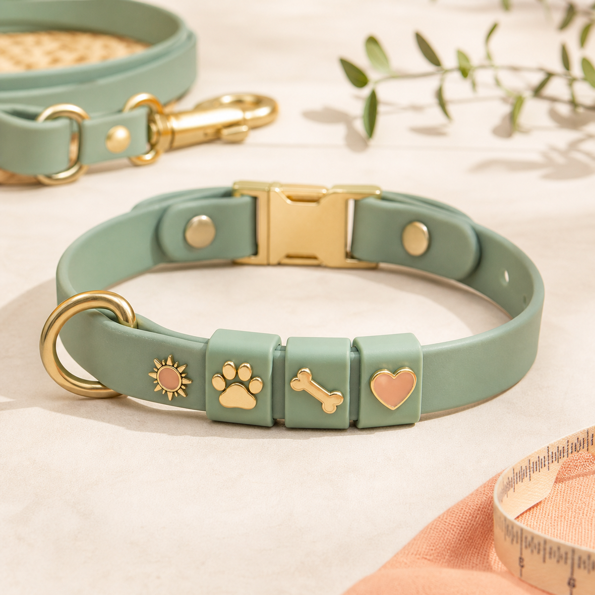 Personalized dog collar for everyday walks