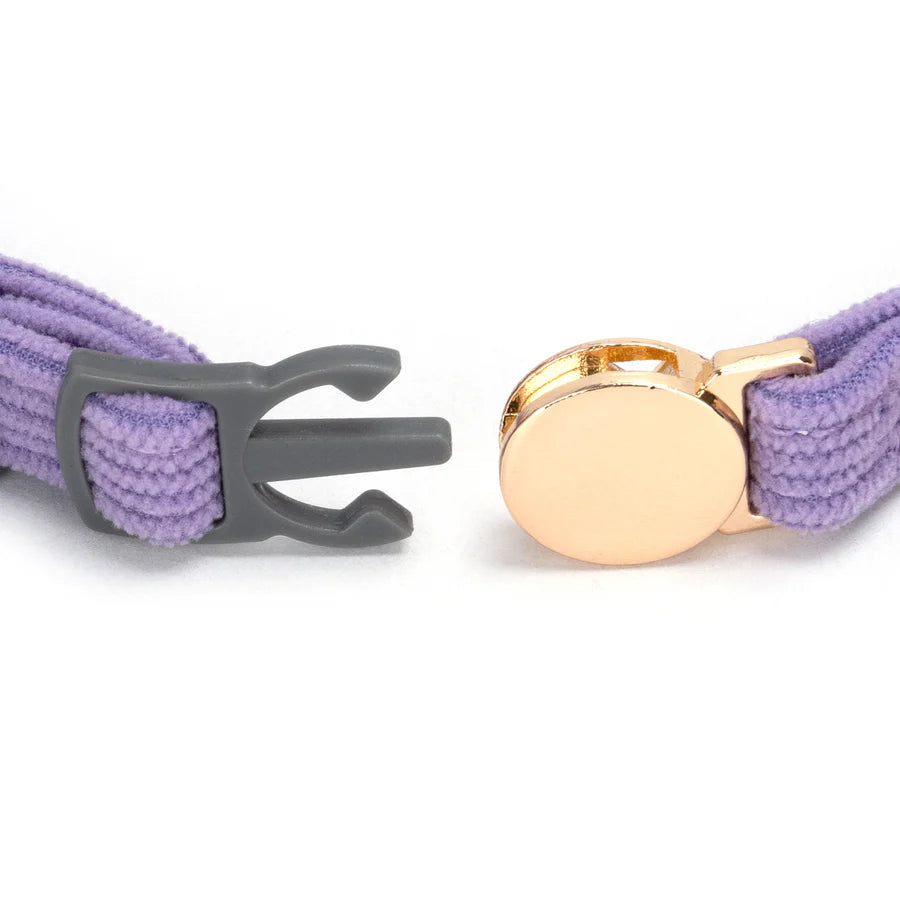 Purple belt with gray buckle on the left and gold buckle on the right against a white background