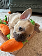 Carrot Snuffle Mat (Squeaky Puzzle Toy)