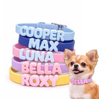 Stack of colorful dog collars with personalized names next to a small dog wearing a pink collar.