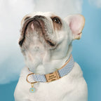 Sunflower Personalized Dog Collar