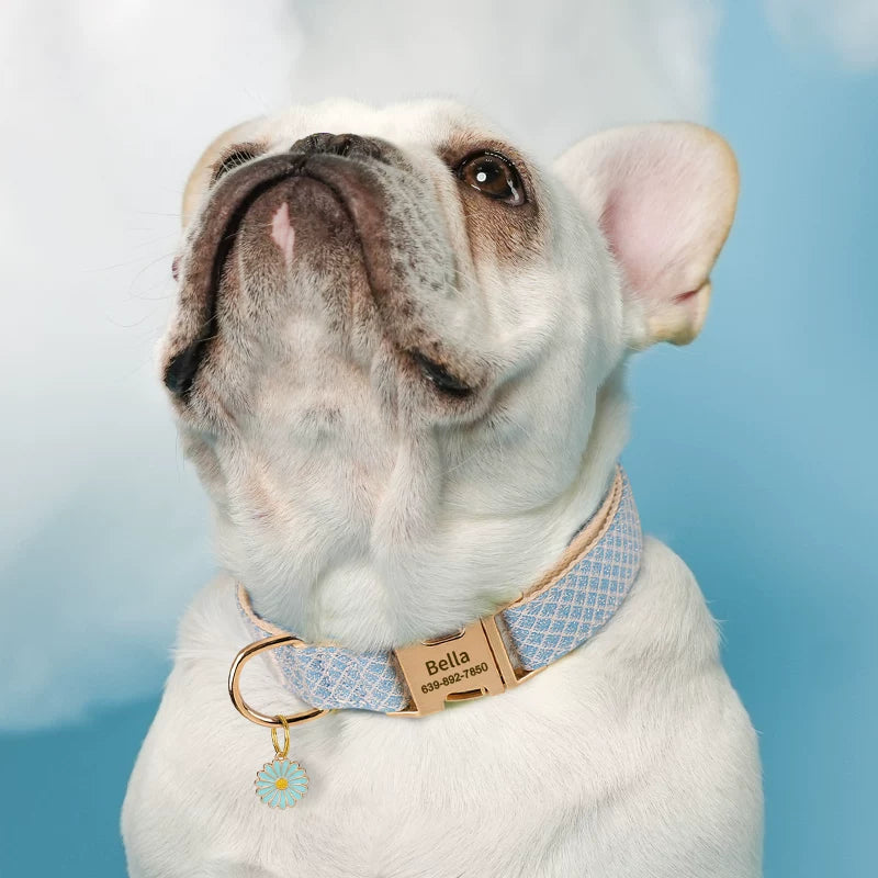 Moca™ Sunflower Personalized ID Nameplate Dog Collar