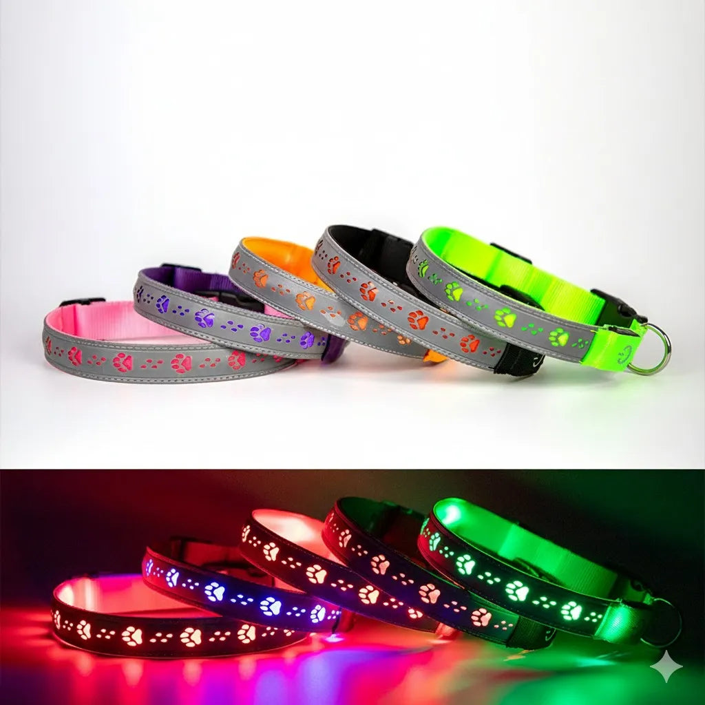 Colorful LED dog collars on a white background