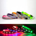 Colorful LED dog collars on a white background