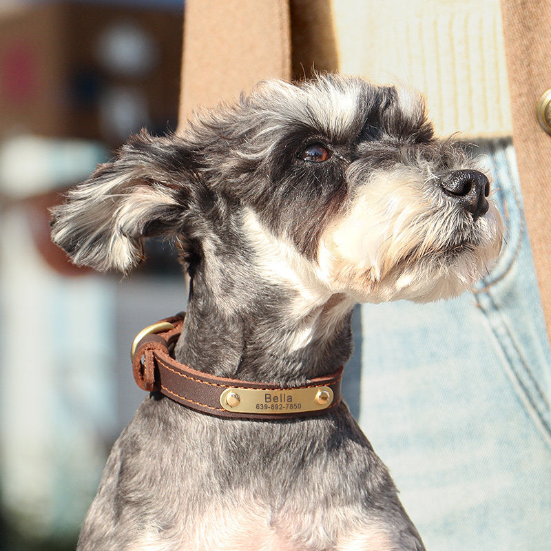 Moca™ Personalized Soft Leather Dog Collar with Custom ID Tag for Medium Large Dog