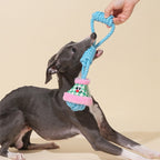 Dog playing with a blue rope toy held by a hand on a beige background