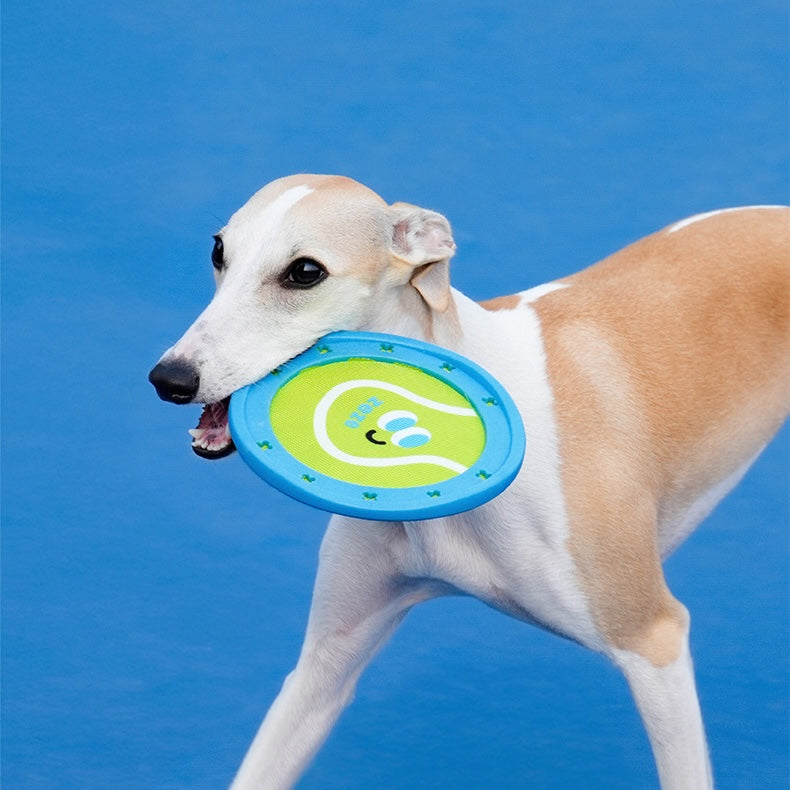 Dog holding a blue and green frisbee against a blue background