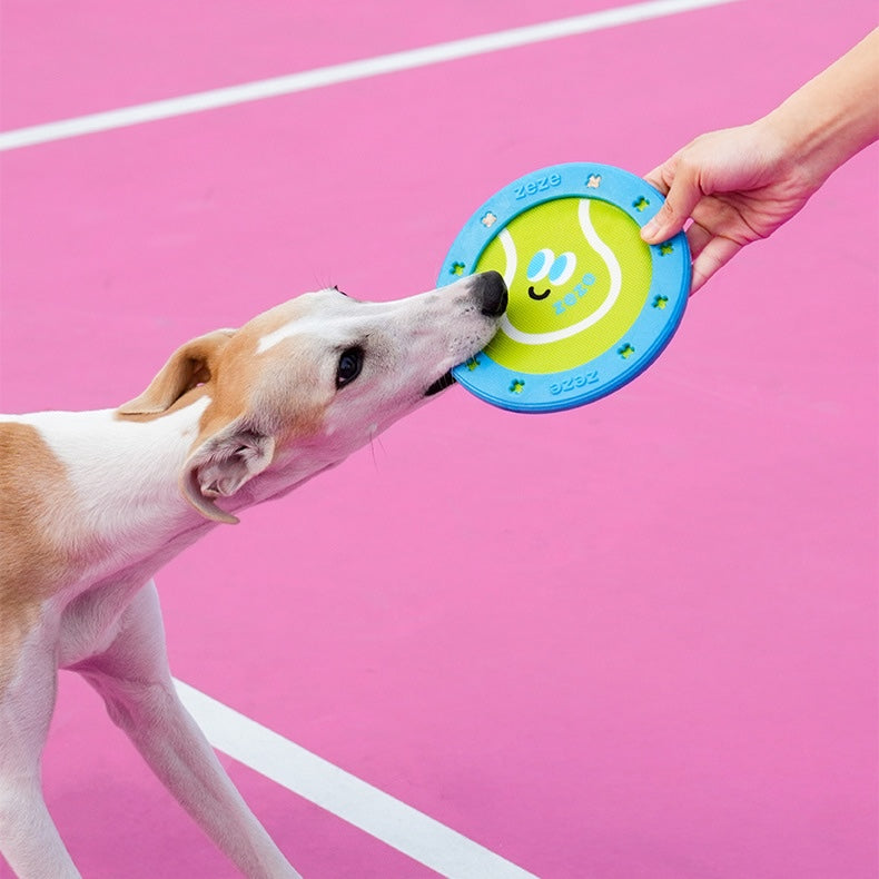 Dog playing with a blue and green frisbee on a pink background