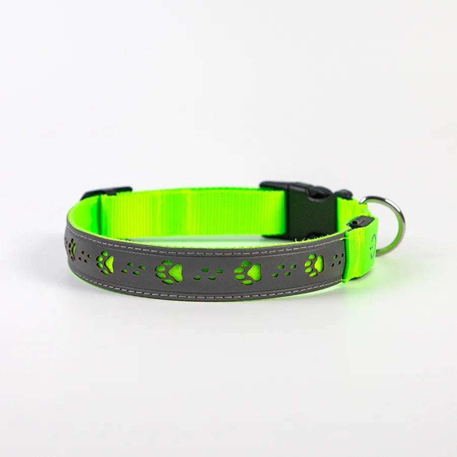 Dual-Visibility LED Dog Collar
