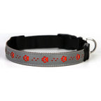 Dual-Visibility LED Dog Collar