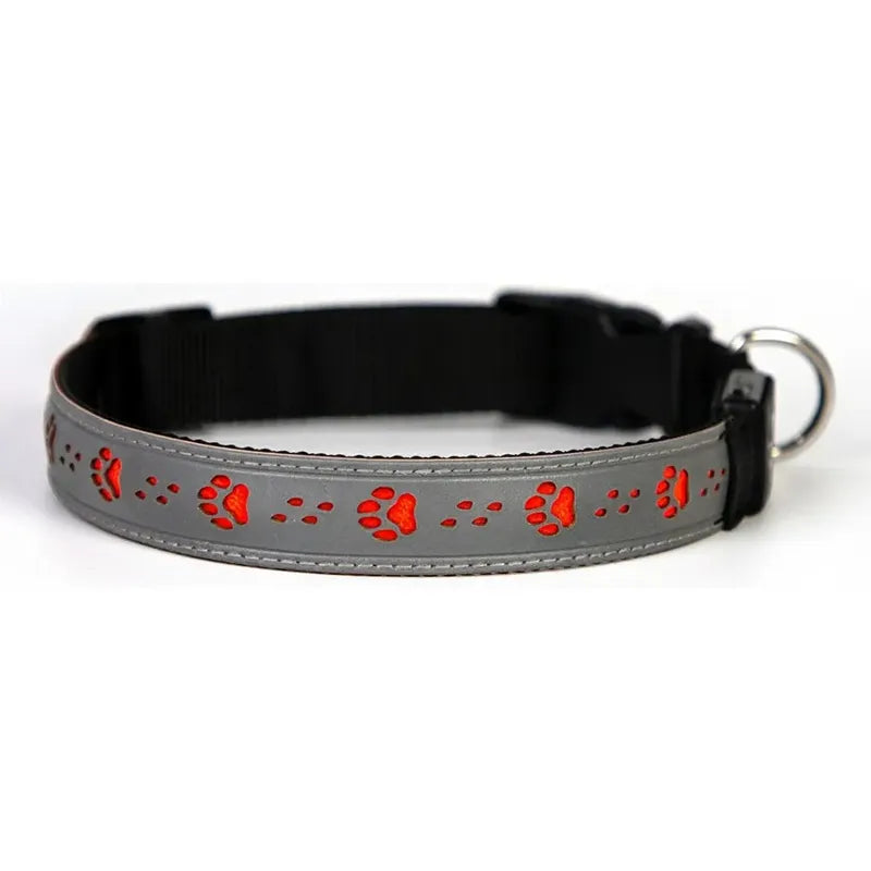 Dual-Visibility LED Dog Collar