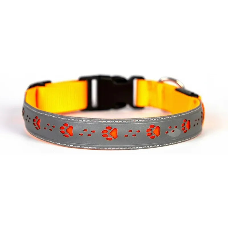 Dual-Visibility LED Dog Collar
