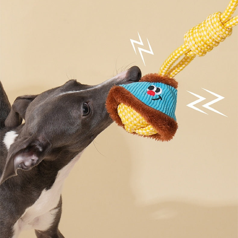Dog playing with a colorful rope toy on a beige background
