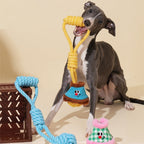 Dog playing with a yellow rope toy on a beige background