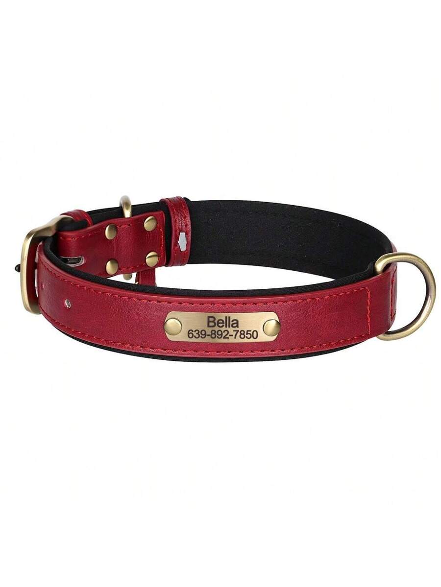 Personalized Premium Leather Collar