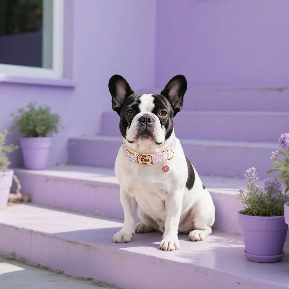 Moca™ Sunflower Personalized ID Nameplate Dog Collar