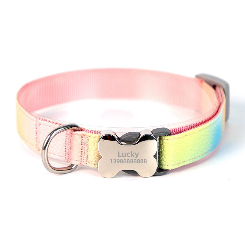 Dog collar with rainbow pattern and bone-shaped tag on a white background