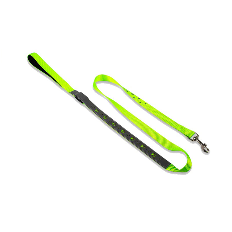 Neon green and black dog leash on a white background