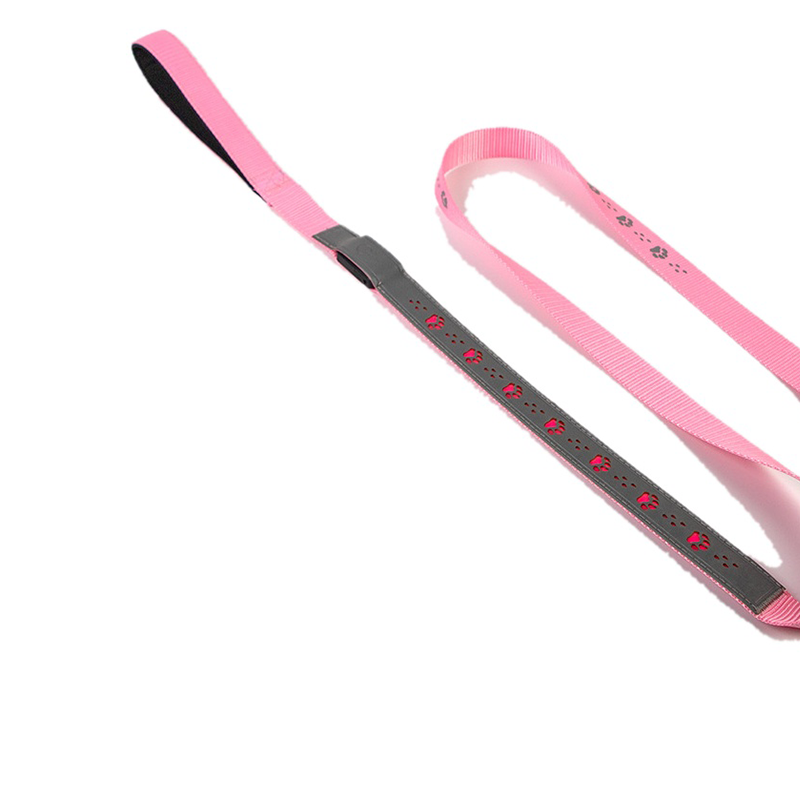 Dual-Visibility LED Dog Collar