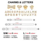 Moca™ Bling-Bling Custom Dog Collars with Name for Small and Medium Dogs