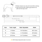 Moca™ Bling-Bling Custom Dog Collars with Name for Small and Medium Dogs