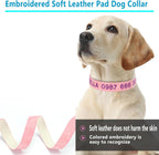 Dog wearing a pink embroidered soft leather pad dog collar on a white background