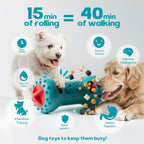 Interactive Treat Dispenser & Slow Feeder