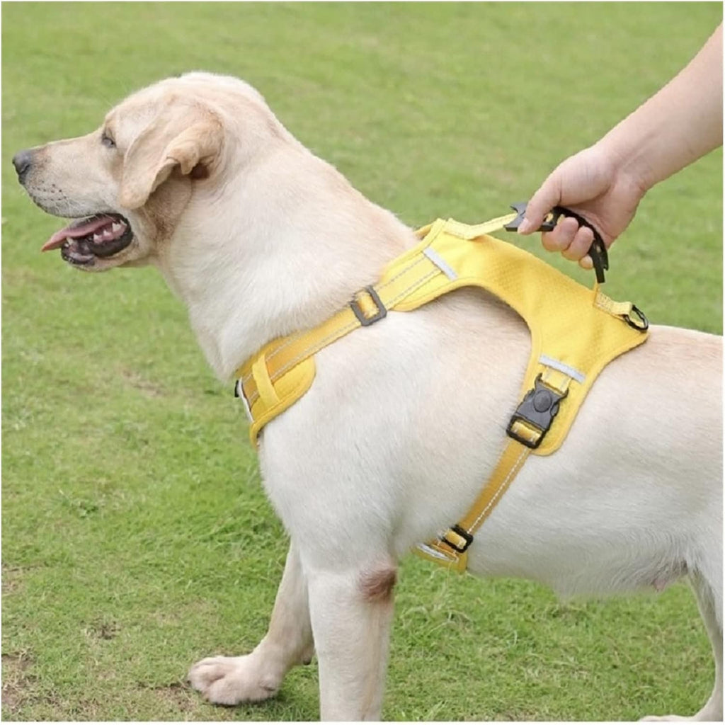 Dog wearing a yellow harness with a person holding the leash on a grassy background