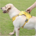 Dog wearing a yellow harness with a person holding the leash on a grassy background