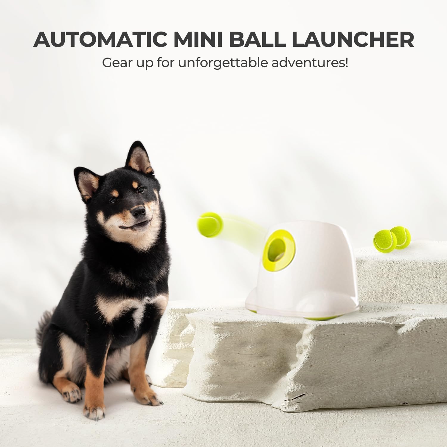Automatic Ball Launcher for Dogs Interactive Puppy Pet Ball Indoor for Small to Medium Dogs