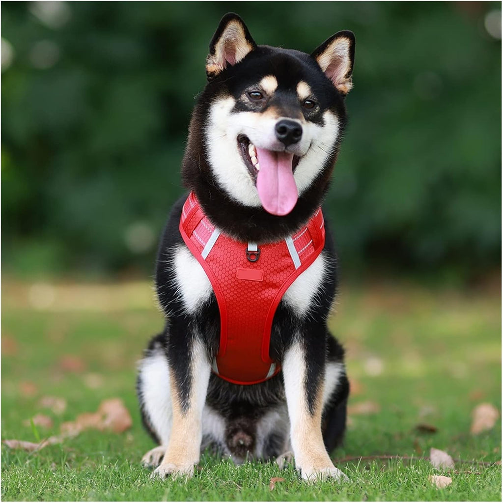 Dog wearing a red harness sitting on grass with a blurred green background