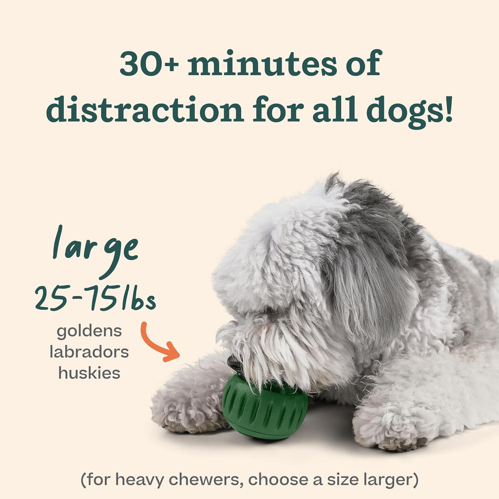 Dog playing with a green toy, text indicating 30+ minutes of distraction for large dogs.
