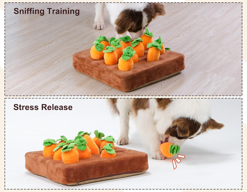 Carrot Snuffle Mat (Squeaky Puzzle Toy)
