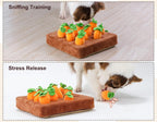 Carrot Snuffle Mat (Squeaky Puzzle Toy)