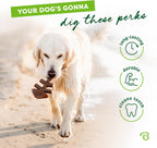 Fishbone Durable Dog Chew Toy for Aggressive Chewers