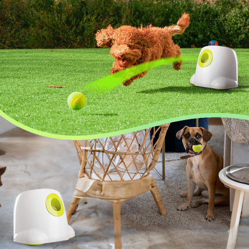 Automatic Ball Launcher for Dogs Interactive Puppy Pet Ball Indoor for Small to Medium Dogs