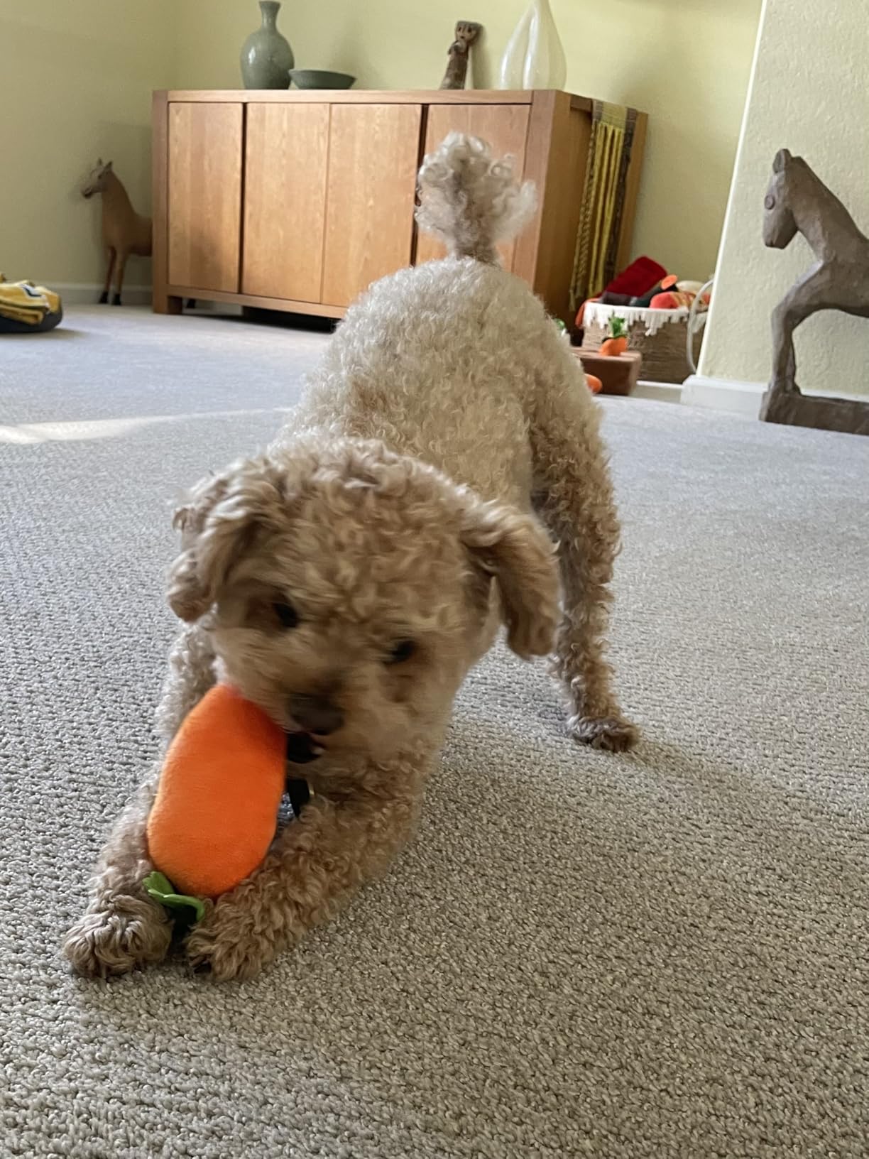 Carrot Snuffle Mat (Squeaky Puzzle Toy)