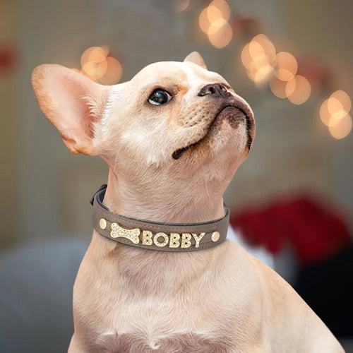 Bling Personalized Dog Collar (Custom Name)