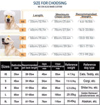 Ultra-Absorbent Pet Bathrobe | Quick-Drying Comfort