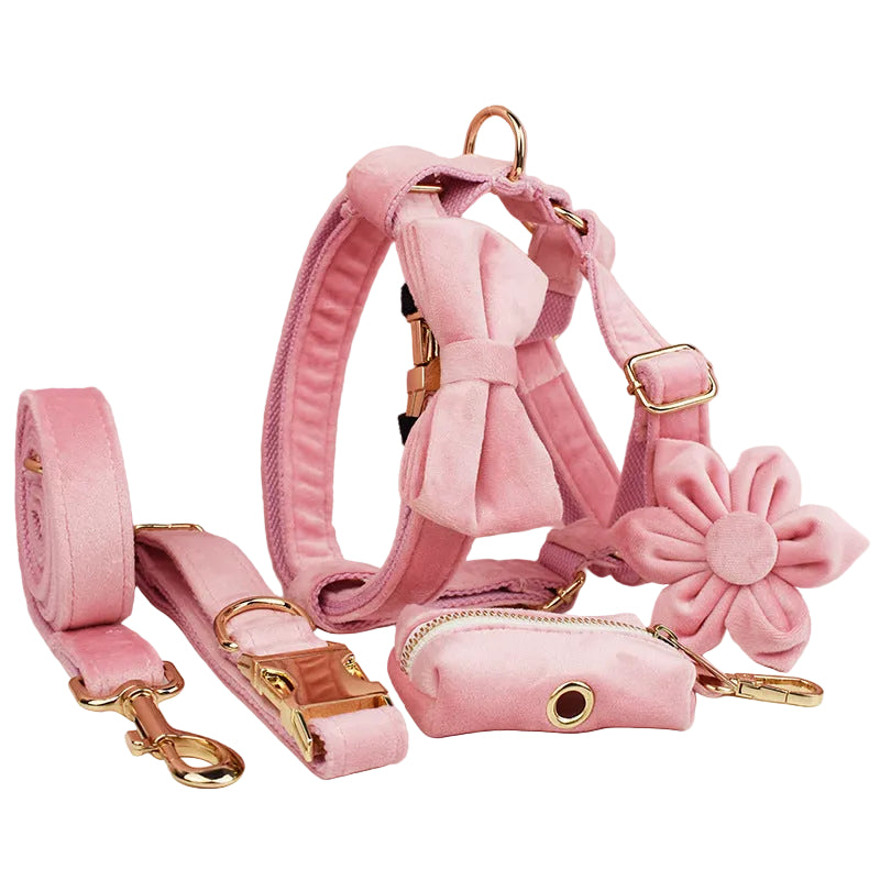 Pink dog harness, leash, and flower accessory set on a white background