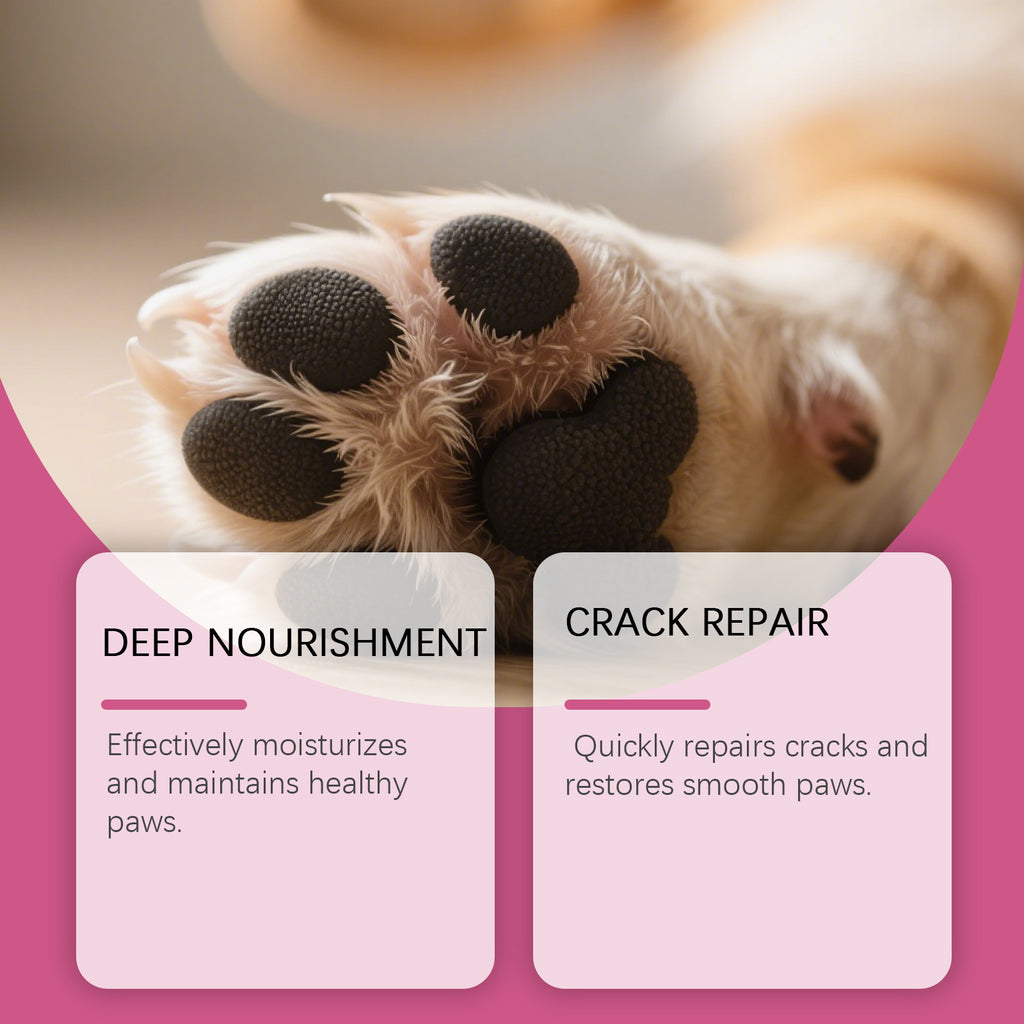 Natural Paw Balm Duo | Deep Healing & Daily Protection