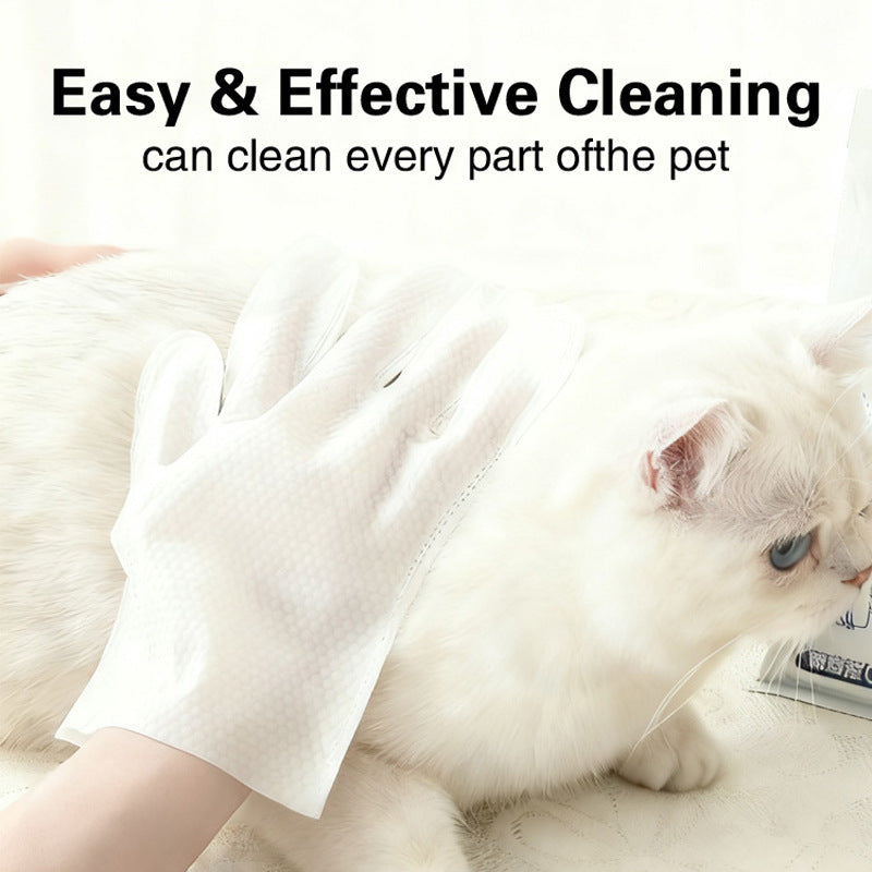 Cat being cleaned with a towel by a person, with text about easy and effective cleaning.