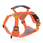 Orange dog harness with gray padding on a white background