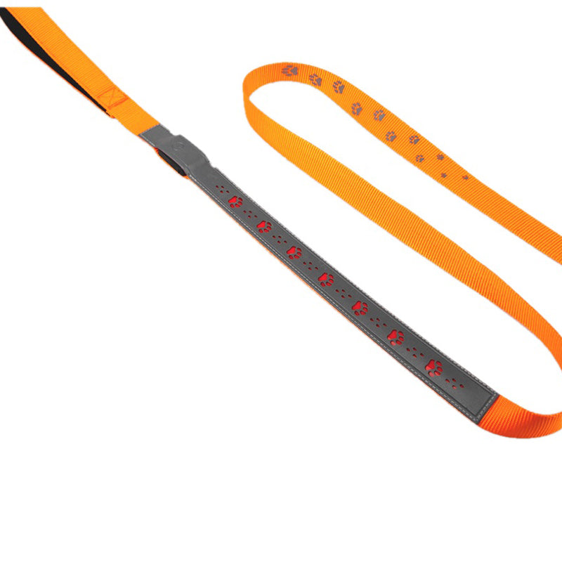 Dual-Visibility LED Dog Collar