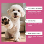 Natural Paw Balm Duo | Deep Healing & Daily Protection