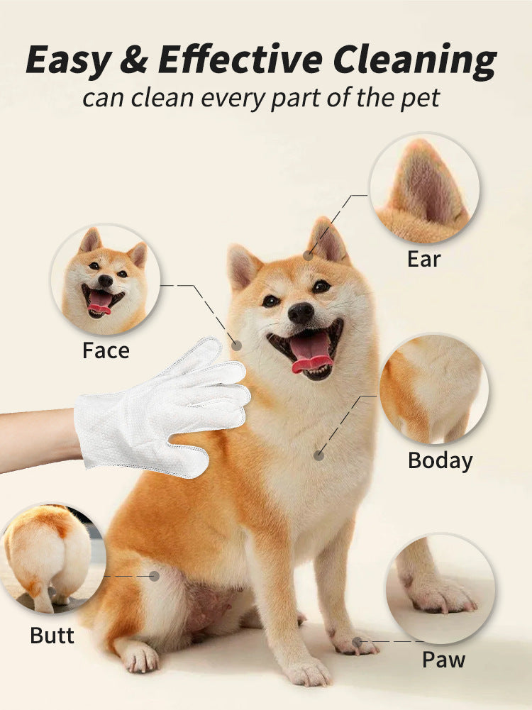 Dog being cleaned with a glove, highlighting different parts of the dog with labeled circles.