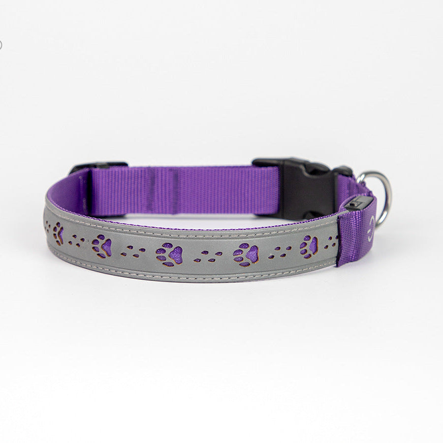 Dog collar with purple and gray design on a white background
