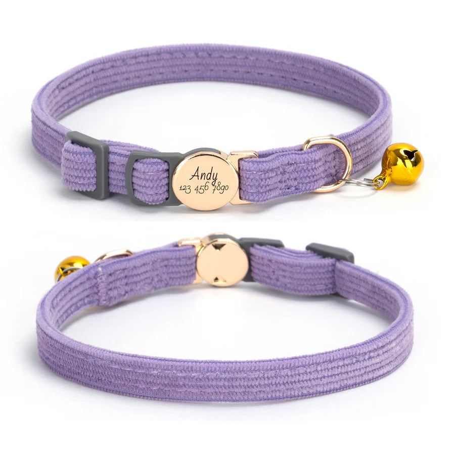 Two purple cat collars with gold tags and bells on a white background