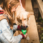 Girl and dog interacting with a green water bottle holder outdoors.
