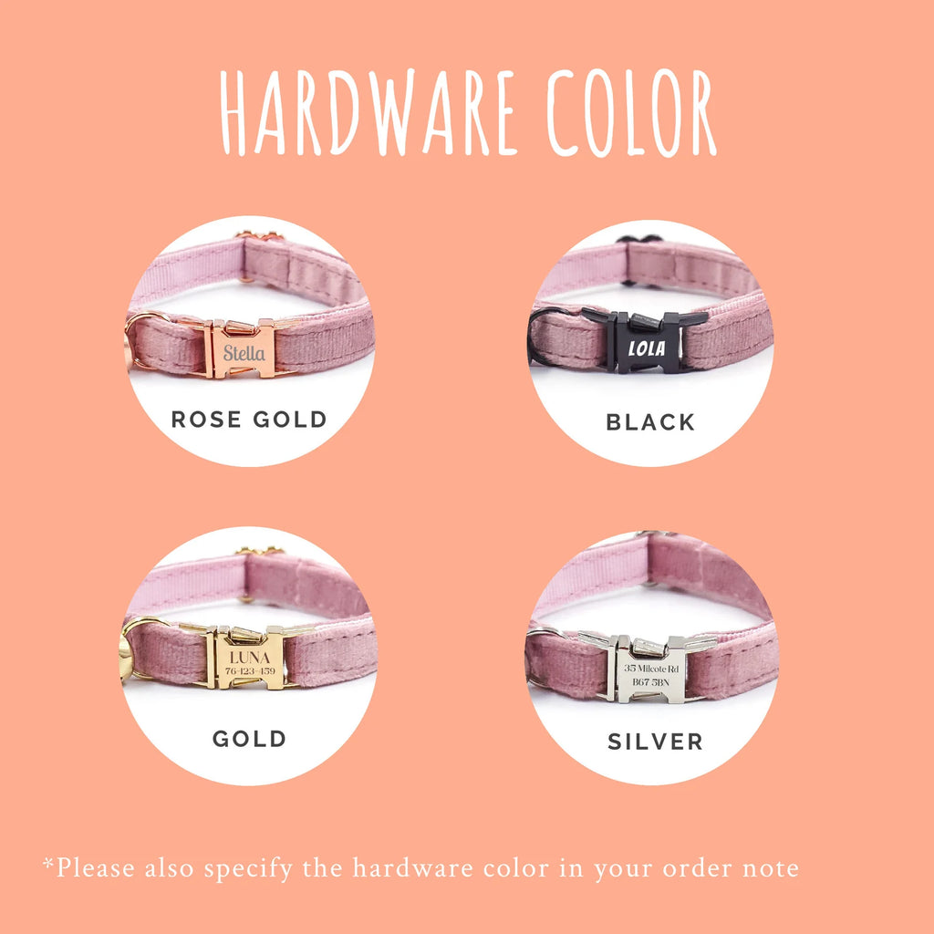 Dog collars with different hardware colors on a peach background